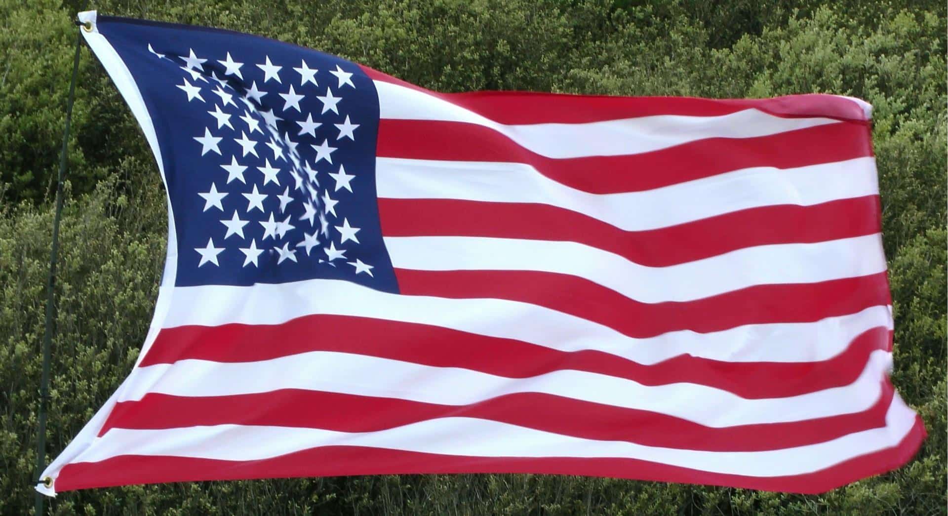 estaforamerica