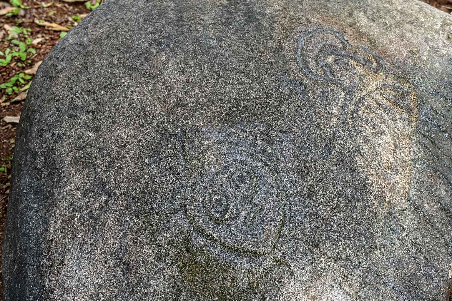 Petroglyfy-at-Reef-Bay-esta-1