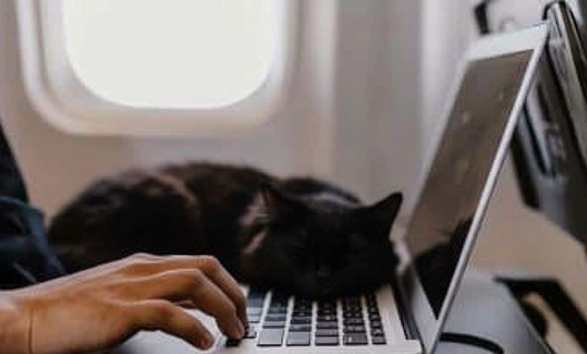 laptop-esta-1